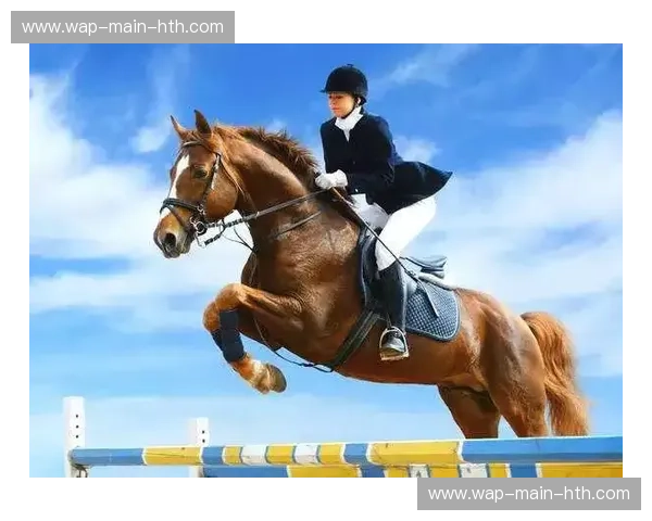 铁拳的艺术与不屈的意志:当“大卫王”海耶遇上“沉默者”鲁伊兹 铁拳的艺术与不屈的意志:当“大卫王”海耶遇上“沉默者”鲁伊兹